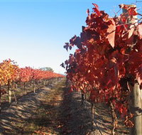 Kooyonga Creek Wines - Tweed Heads Accommodation