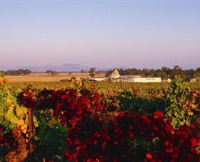 Morris Wines - Tweed Heads Accommodation 0