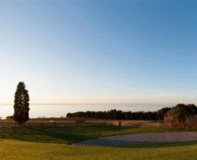 Jack Rabbit Vineyard - Tweed Heads Accommodation 3
