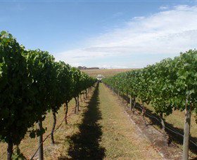 Cannibal Creek Vineyard - Tweed Heads Accommodation 1