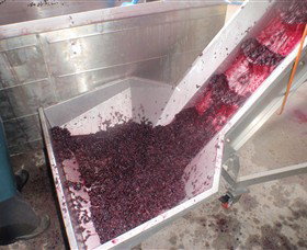 Cannibal Creek Vineyard - Tweed Heads Accommodation 6