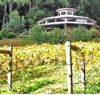 Peveril Vineyard/Beechy Berries - Tweed Heads Accommodation