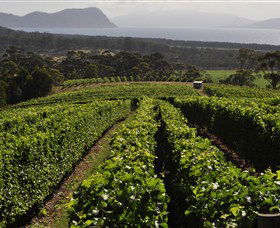 Bream Creek Vineyard - Tweed Heads Accommodation 0