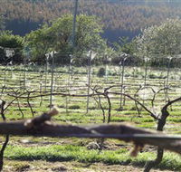Three Willows Vineyard - Tweed Heads Accommodation