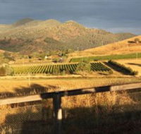 Optimiste Wines - Tweed Heads Accommodation