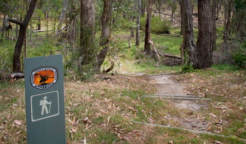 Moolarben Picnic Area - Tweed Heads Accommodation 0