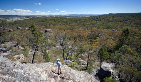 Munghorn Gap Nature Reserve - Tweed Heads Accommodation 1