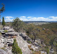 Munghorn Gap Nature Reserve - Tweed Heads Accommodation