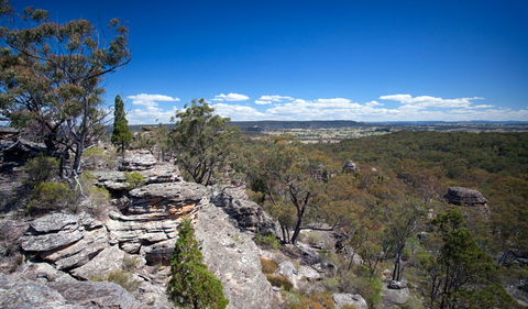 Munghorn Gap Nature Reserve - Tweed Heads Accommodation 0