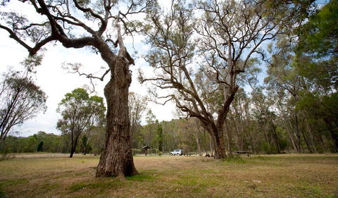 Munghorn Gap Nature Reserve - Tweed Heads Accommodation 3