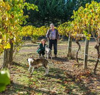 Little River Wines of Taggerty - Tweed Heads Accommodation
