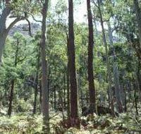 Cathedral Range State Park - Tweed Heads Accommodation