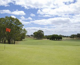 Curlewis Golf Club - Tweed Heads Accommodation 1