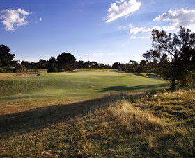 Curlewis Golf Club - Tweed Heads Accommodation 2