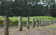 Leura Park Estate - thumb 6