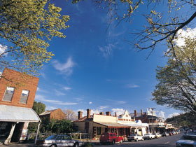 Drysdale Cheeses - Tweed Heads Accommodation 1