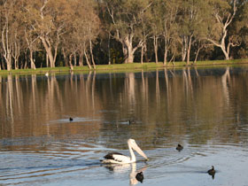 Drysdale Cheeses - Tweed Heads Accommodation 7
