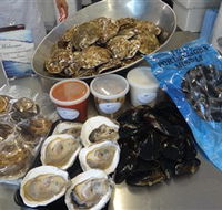Advance Mussel Supply - Tweed Heads Accommodation