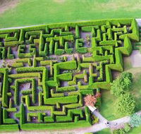 Hedgend Maze and Healesville Laser Sport - Tweed Heads Accommodation
