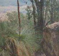 Mount Lawson State Park - Tweed Heads Accommodation
