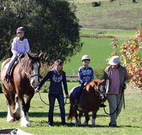 Bathurst Farm Experience - Tweed Heads Accommodation