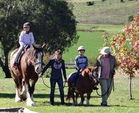 Bathurst Farm Experience - Tweed Heads Accommodation 0