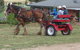 Bathurst Farm Experience - thumb 3