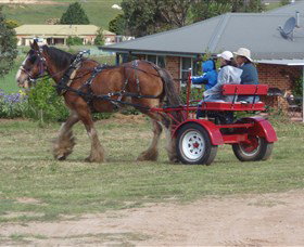 Bathurst Farm Experience - Tweed Heads Accommodation 3