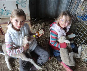 Bathurst Farm Experience - Tweed Heads Accommodation 4