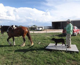 Bathurst Farm Experience - Tweed Heads Accommodation 6