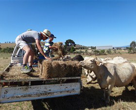 Bathurst Farm Experience - Tweed Heads Accommodation 5
