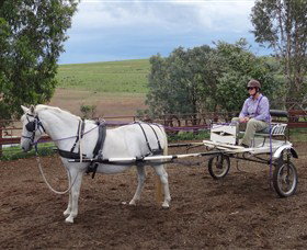 Bathurst Farm Experience - Tweed Heads Accommodation 8