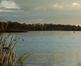 Lake Inverell Reserve - Tweed Heads Accommodation 0