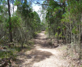 Goonoowigall State Conservation Area - Tweed Heads Accommodation 1