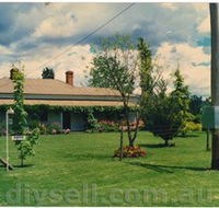 Tumut Valley Violets - Tweed Heads Accommodation