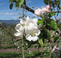 Mouat's Farm - Tweed Heads Accommodation