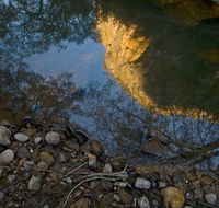 Abercrombie Karst Conservation Reserve - Tweed Heads Accommodation