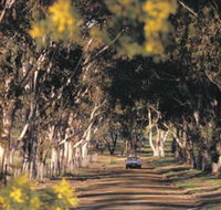 Albert Facey Heritage Trail - Tweed Heads Accommodation