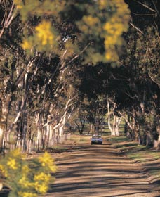Albert Facey Heritage Trail - Tweed Heads Accommodation 0