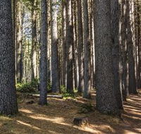 Sugarpine Walk - Tweed Heads Accommodation