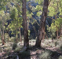 Mount Gray walking track - Tweed Heads Accommodation