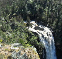 Grove Creek Falls walking track - Tweed Heads Accommodation