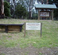 Shelley Forest Camp - Tweed Heads Accommodation