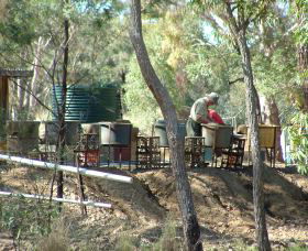7 Oaks Sapphire Fossicking - Tweed Heads Accommodation 0
