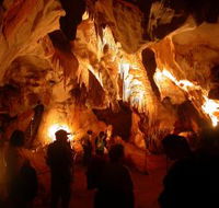Careys Cave - Tweed Heads Accommodation