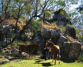  Tweed Heads Accommodation