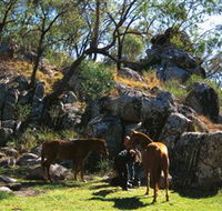 Coomba Falls - Tweed Heads Accommodation