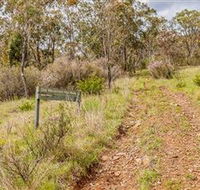 Old Mountain Road Walking Track - Tweed Heads Accommodation