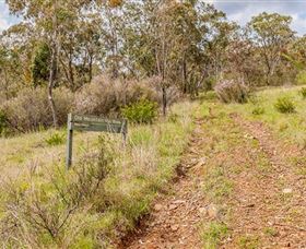 Old Mountain Road Walking Track - Tweed Heads Accommodation 0