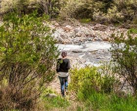 Old Mountain Road Walking Track - Tweed Heads Accommodation 1